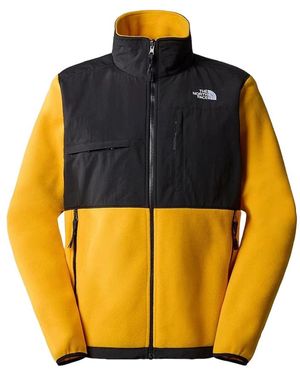 The North Face Winter Jackets - Amarillo