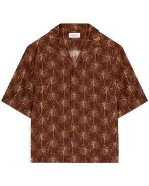 Laneus Short Sleeve Shirts - Marron