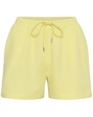 Saint Tropez Short Shorts - Yellow