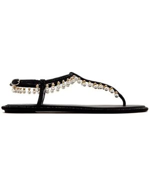 Rene Caovilla Flat Sandals - Black