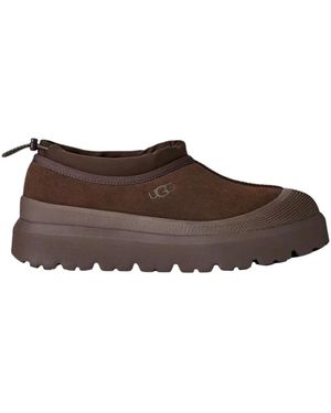 UGG Tazz Ii - Bruin
