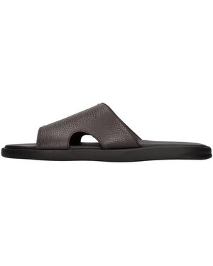Doucal's Schoenen ,Bruin ,Slippers
