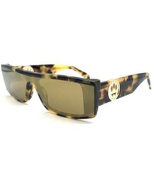 Barrow Sunglasses - Green
