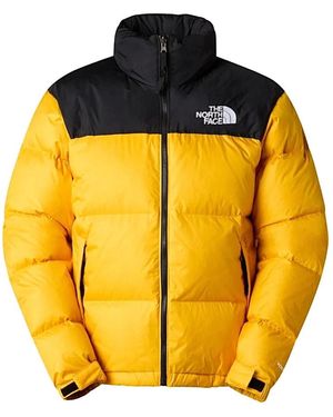 The North Face Fitness ,Geel ,Ski Jassen