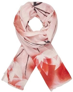 Masai Scarves - Pink