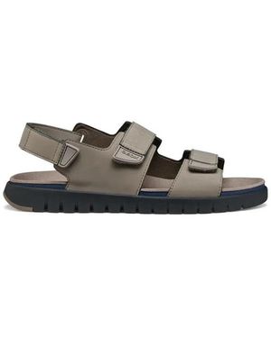 Geox Flat Sandals - Neutro