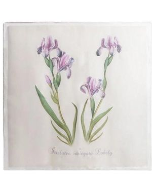 Alberta Ferretti Silky Scarves - Blanco