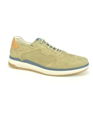 Fluchos Schoenen ,Leer Taupe Nubuc Sport - Groen