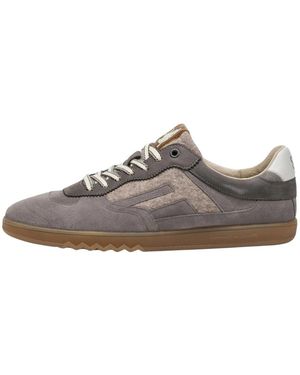 Floris Van Bommel Trainers - Brown