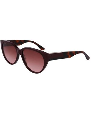Lacoste Red Acetate Sunglasses - Brown