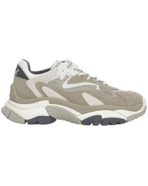Ash Addict Sneaker - Grau