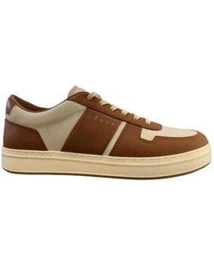 Hogan Trainers - Brown