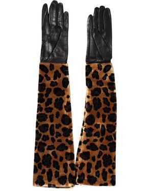 Dolce & Gabbana Gloves - Brown