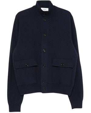 Lardini Cardigans - Azul