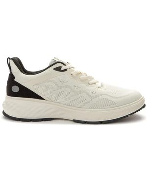 Grunberg Trainers - White