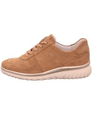 Semler Sneakers - Braun