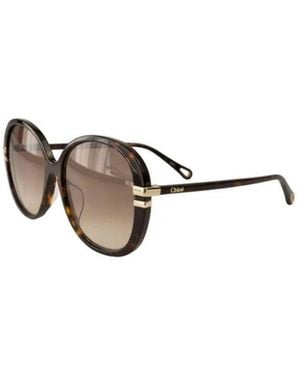Chloé Sunglasses - Marrone
