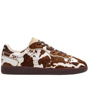 HOFF Trainers - Brown