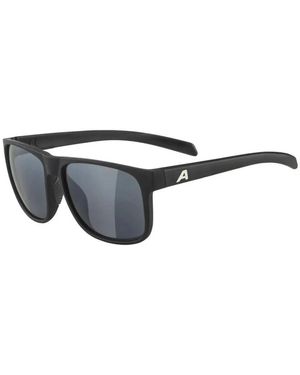 Alpina Sunglasses - Gris