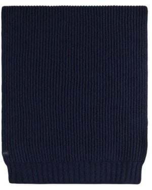 Fay Winter Scarves - Blue