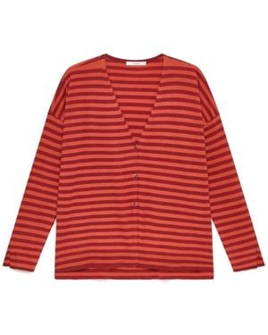 Maliparmi Cardigans - Red