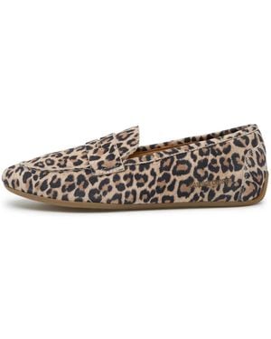 Candice Cooper Loafers - Brown