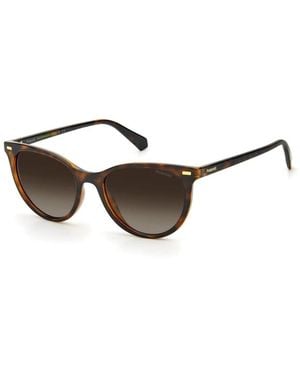 Polaroid Sunglasses - Brown