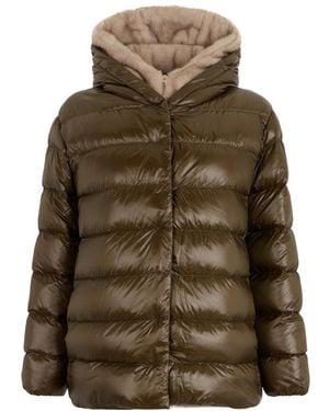 Herno Winter Jackets - Vert