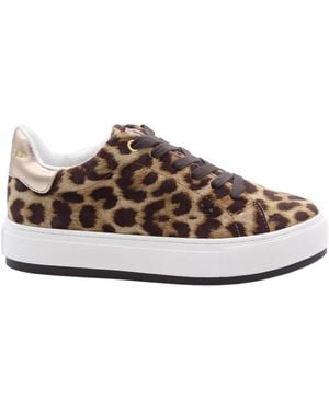 Kurt Geiger Sneakers - Gris