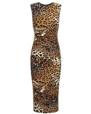 Roberto Cavalli Midi Dresses - Brown