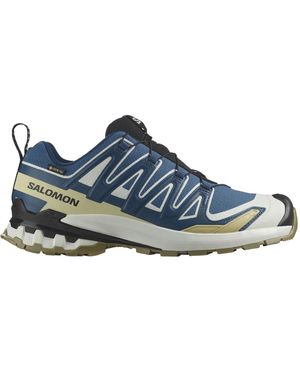 Salomon Running Shoes - Blauw