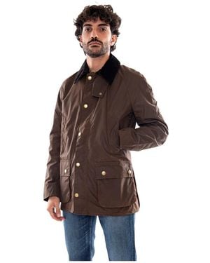 Barbour Light Jackets - Marrone