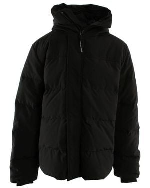 Canada Goose Winter Jackets - Black
