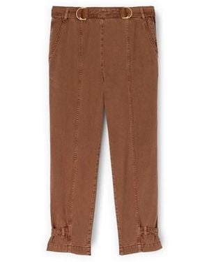 mötivi Carrot Broek - Bruin