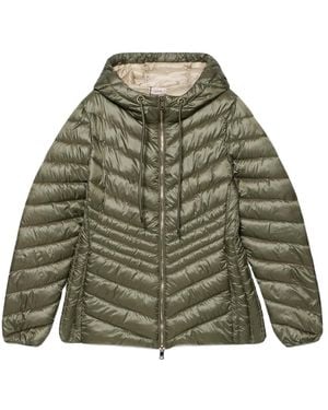 Oltre Leichte Daunenjacke Mit Kapuze - Grün