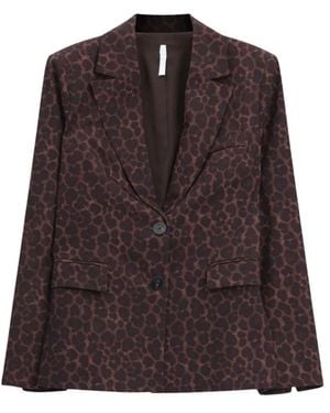 Imperial Blazers - Brown