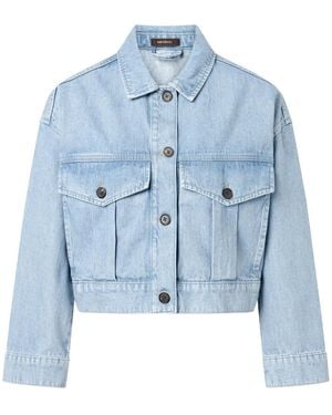 Windsor. Denim Jackets - Blu