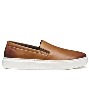 Geox Schoenen ,Bruin ,Leer U Deiven - Wit