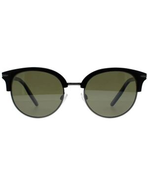 Serengeti Sunglasses - Vert