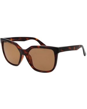 Serengeti Sunglasses - Bruin