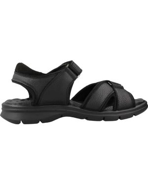 Panama Jack Flat Sandals - Nero