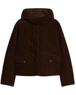 Pennyblack Light Jackets - Marrón