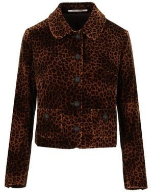 Tagliatore Idelle Blazer - Bruin