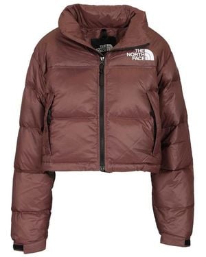 The North Face Nuptse Short Jacket - Braun