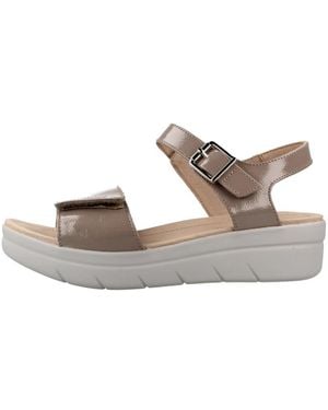 Stonefly Wedges - Marrone