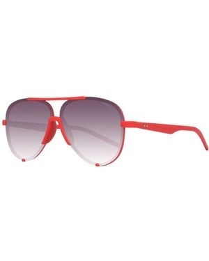 Polaroid Sunglasses - Red