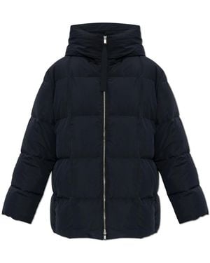 Jil Sander Down Jackets - Azul
