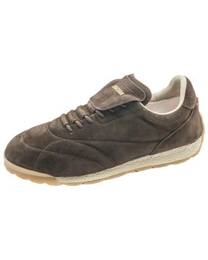 Barracuda Schoenen ,Bruin ,Suède Bu 3647 Suède Sneaker