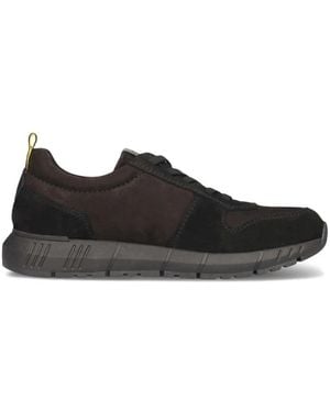 Salamander Sneakers - Negro