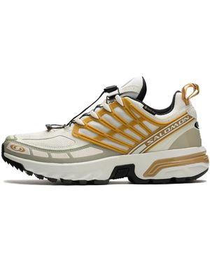 Salomon Icicle Antelope Gtx Wanderstiefel - Mettallic